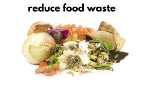 Reduce Food Waste with Sprwt